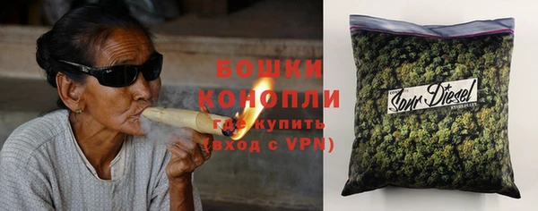 стаф Балахна