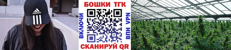 Конопля MAZAR darknet состав Борисоглебск